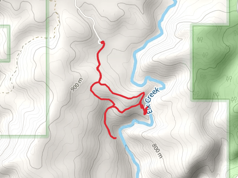 Elk Creek Falls Loop Trail