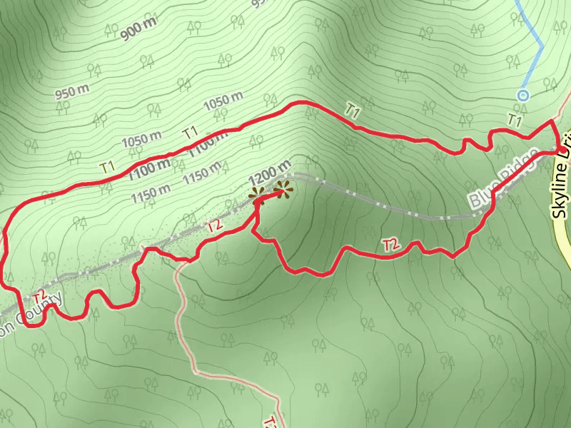 Hawksbill Loop