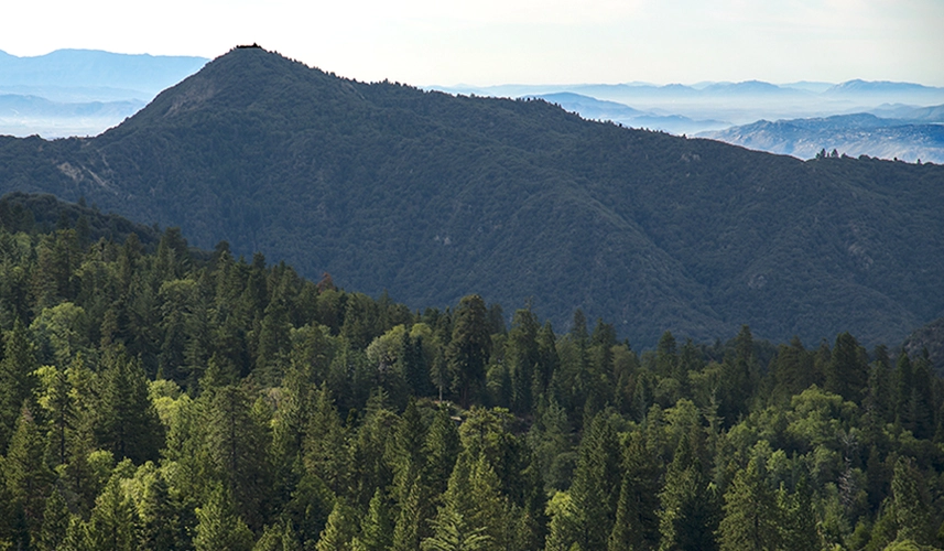 Little Charlton Peak, Jepson Peak and San Gorgonio Mountain South Fork Trail