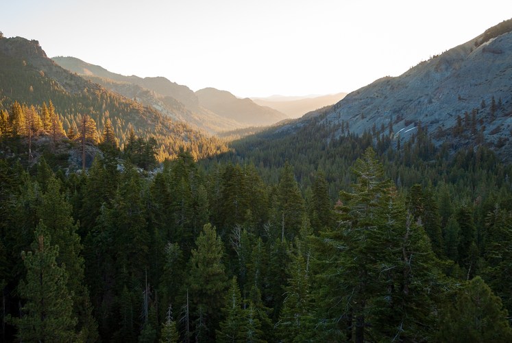 Grouse Lake via Bell Meadow Trail