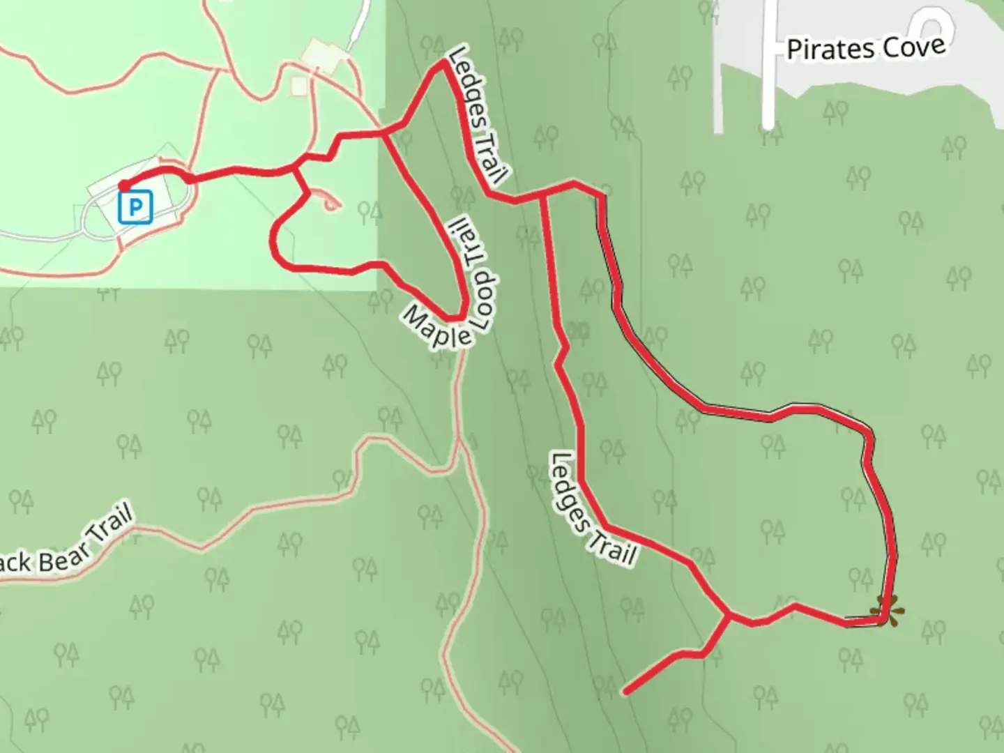 An image depicting the trail Ledges and Maple Loop Trail and its surrounding area.