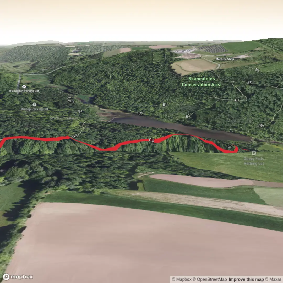 An image depicting the trail Guppy Falls Short Walk and its surrounding area.