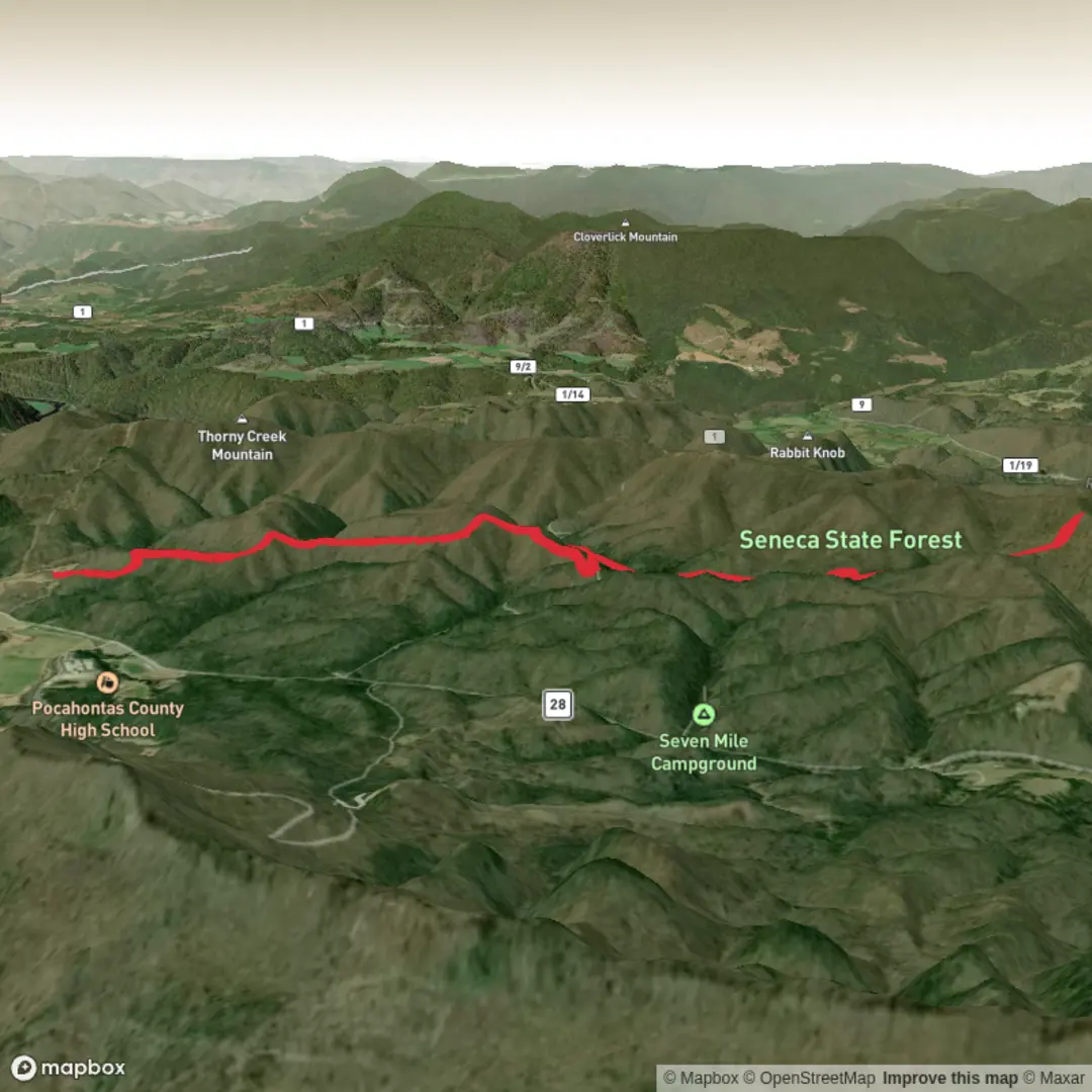 An image depicting the trail Thorny Creek Trail and its surrounding area.