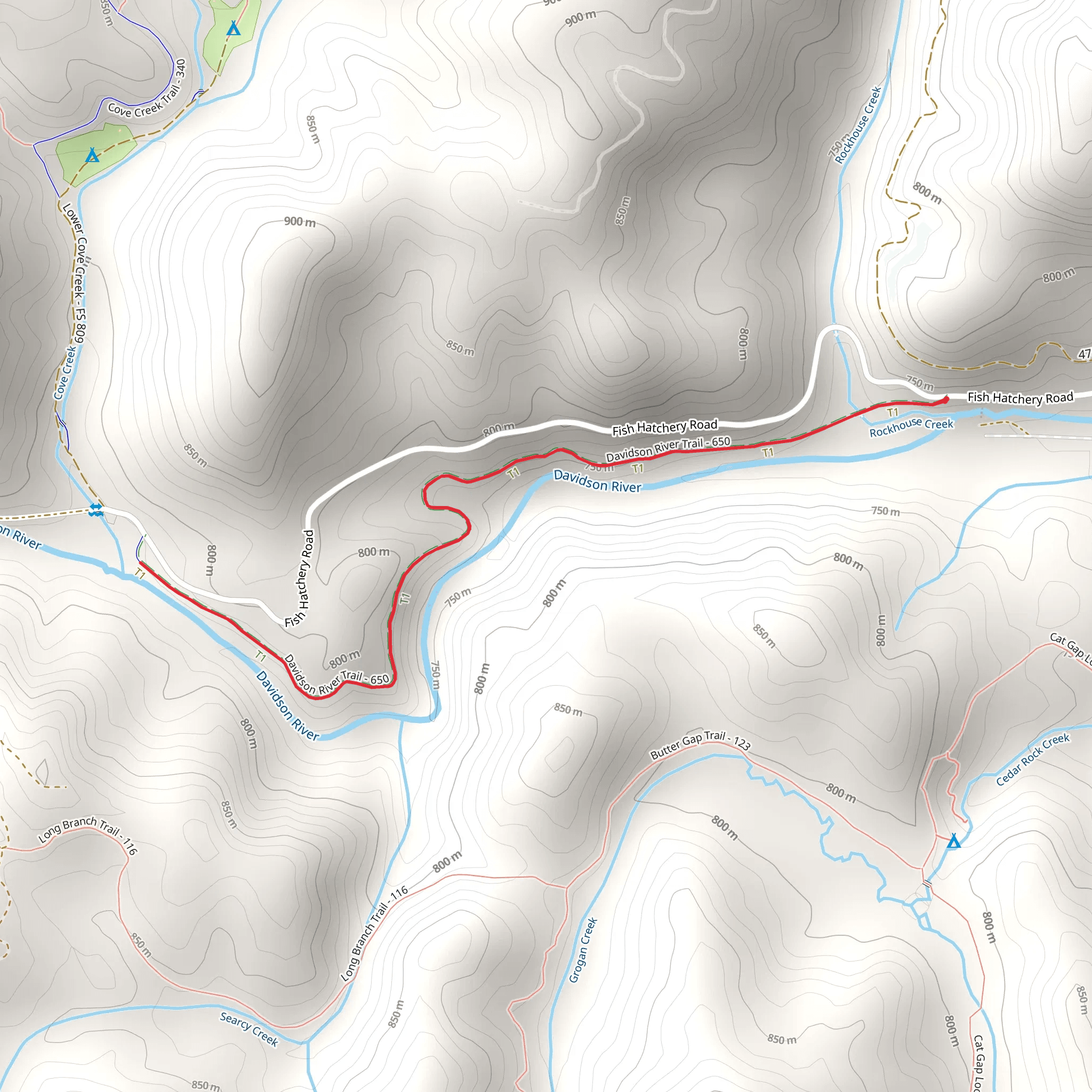 Davidson River Walk mobile static map