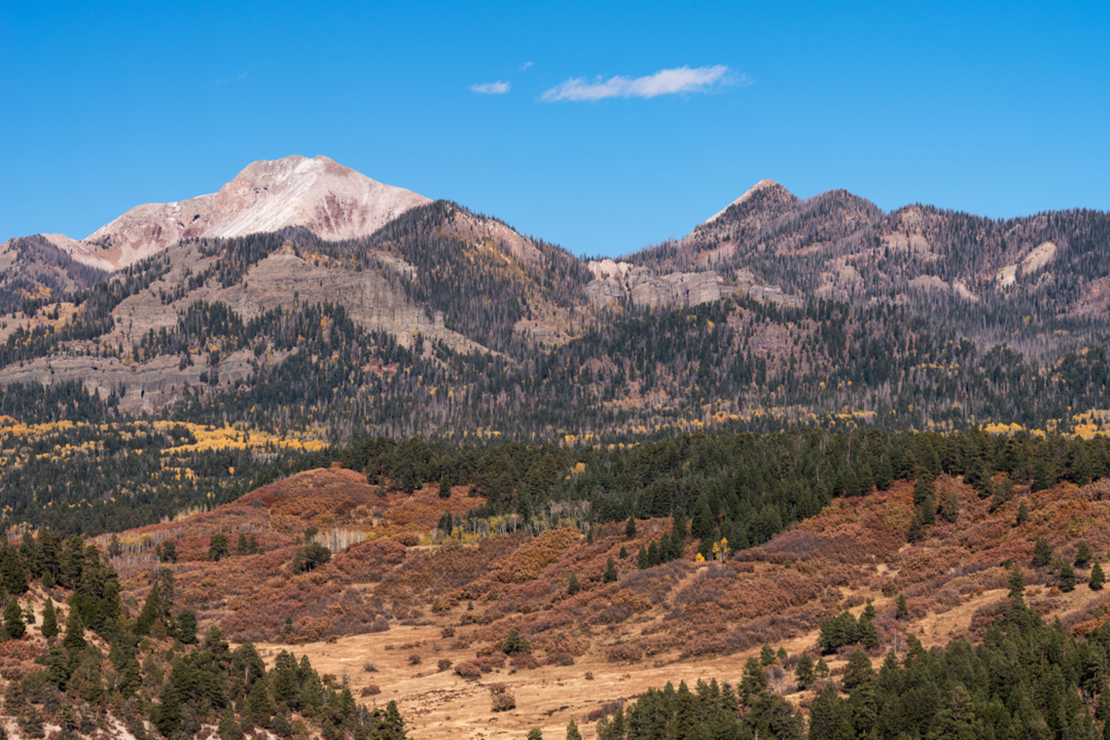 An image depicting the trail Turkey Creek Lake via Fourmile Stock Trail and its surrounding area.