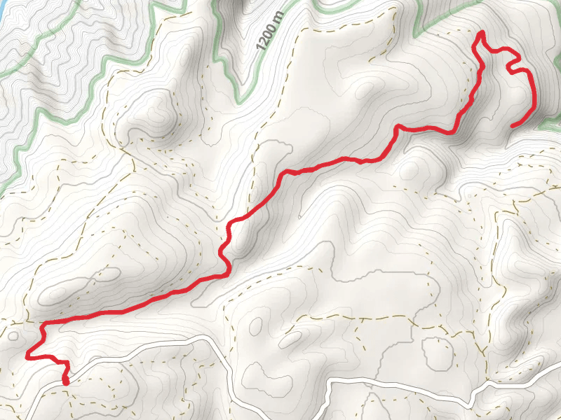 Cross Canyon