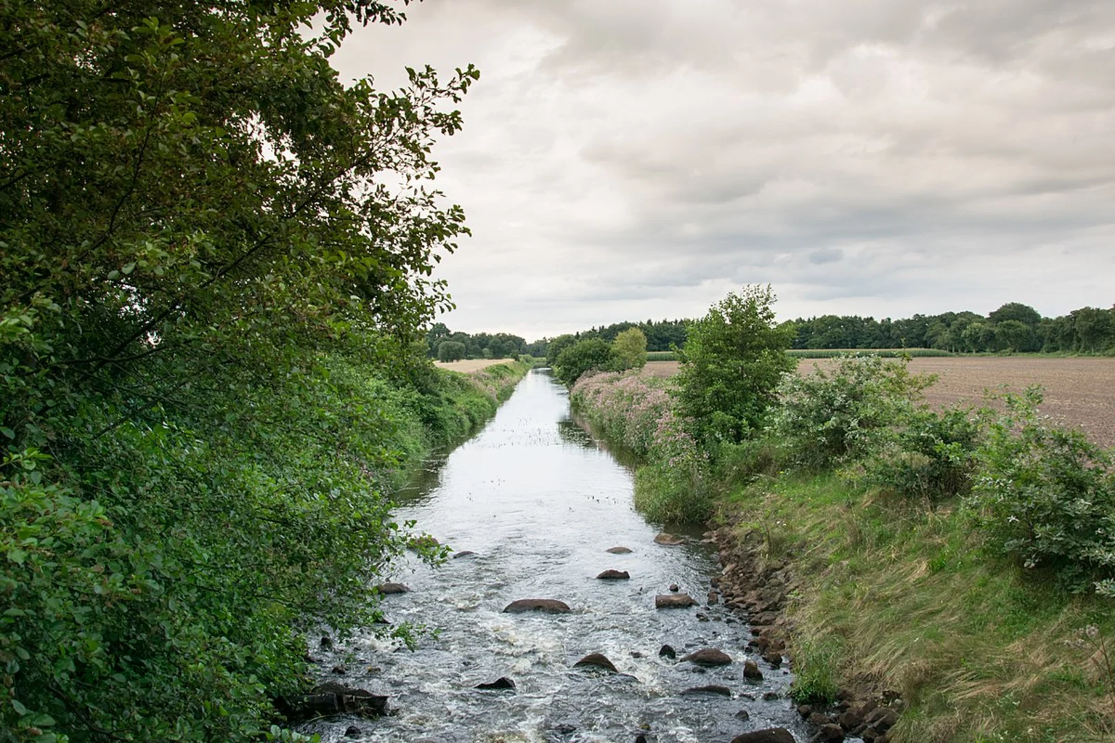 An image depicting the trail Wardenburg and Achternholt Loop and its surrounding area.