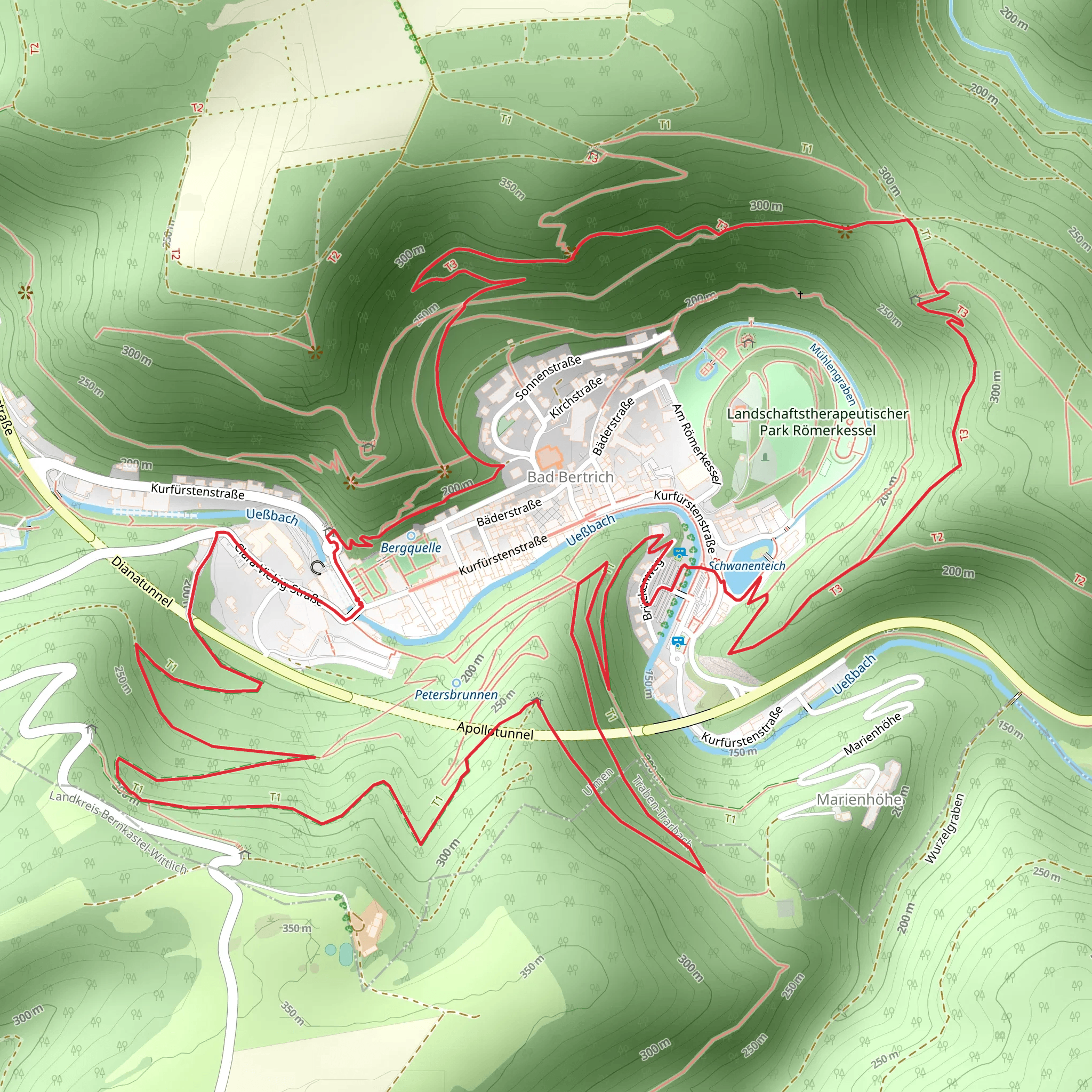 Schwanenteich Loop mobile static map