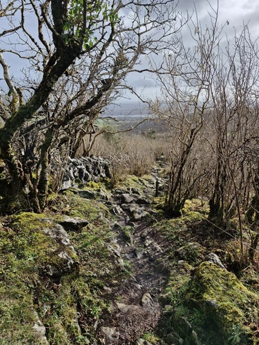 lough Avalla Farm Loop
