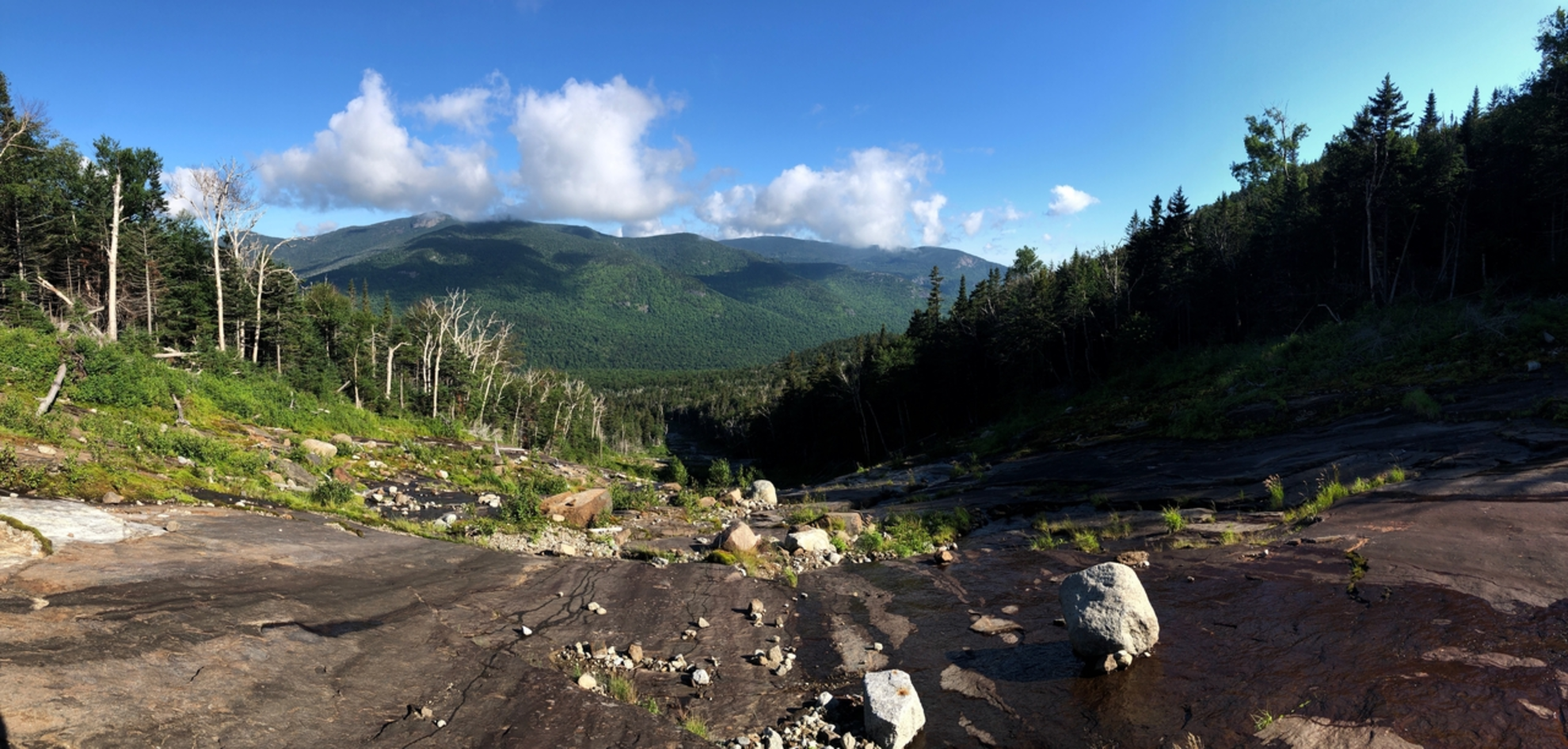 An image depicting the trail Lower Wolfjaw Mountain via Phelps Trail and its surrounding area.