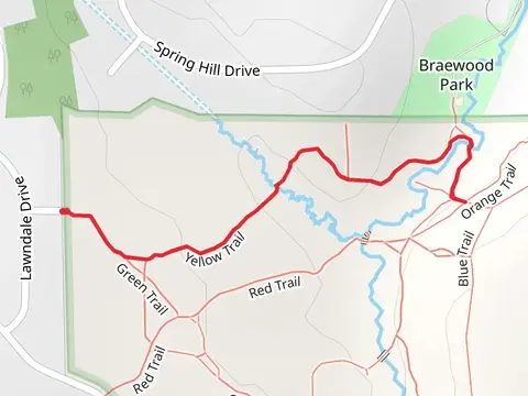 Yellow Trail