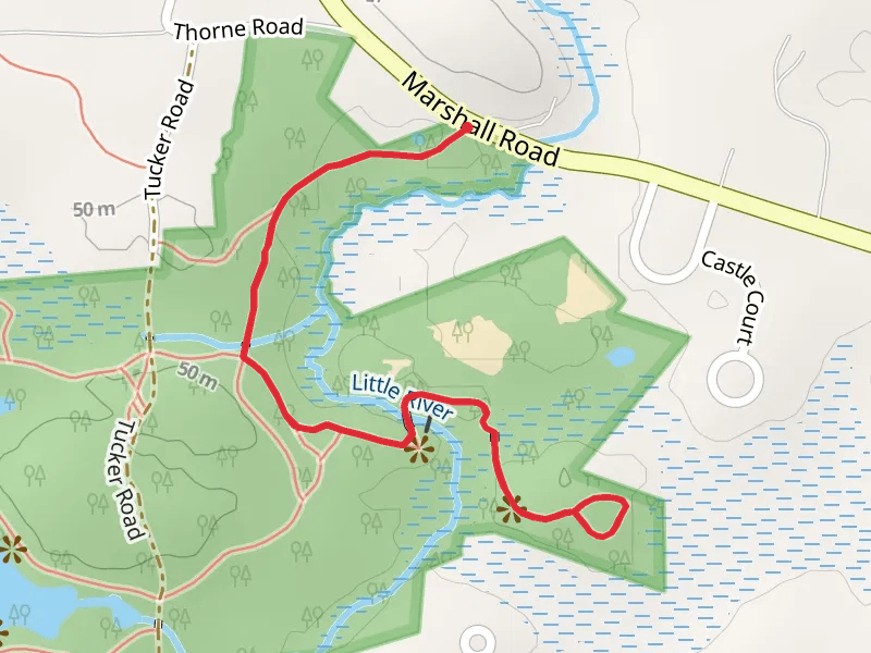 Patten Island Loop and French South Trail