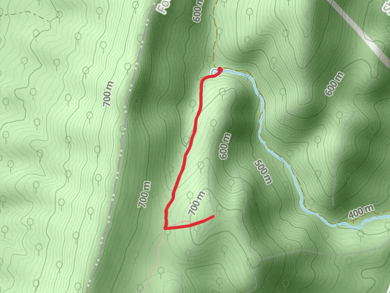 Pitt Springs Lookout via Massanutten South Trail
