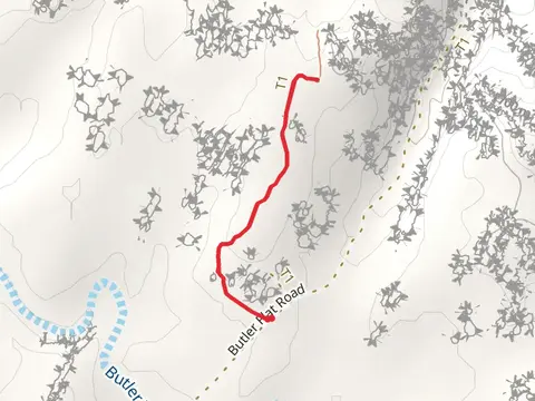 Horse Hoof Campground Road Trail