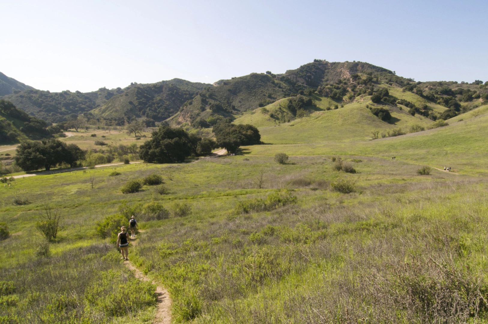 An image depicting the trail Grassland Trail and its surrounding area.