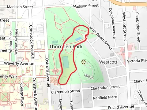 Thorden Park Loop