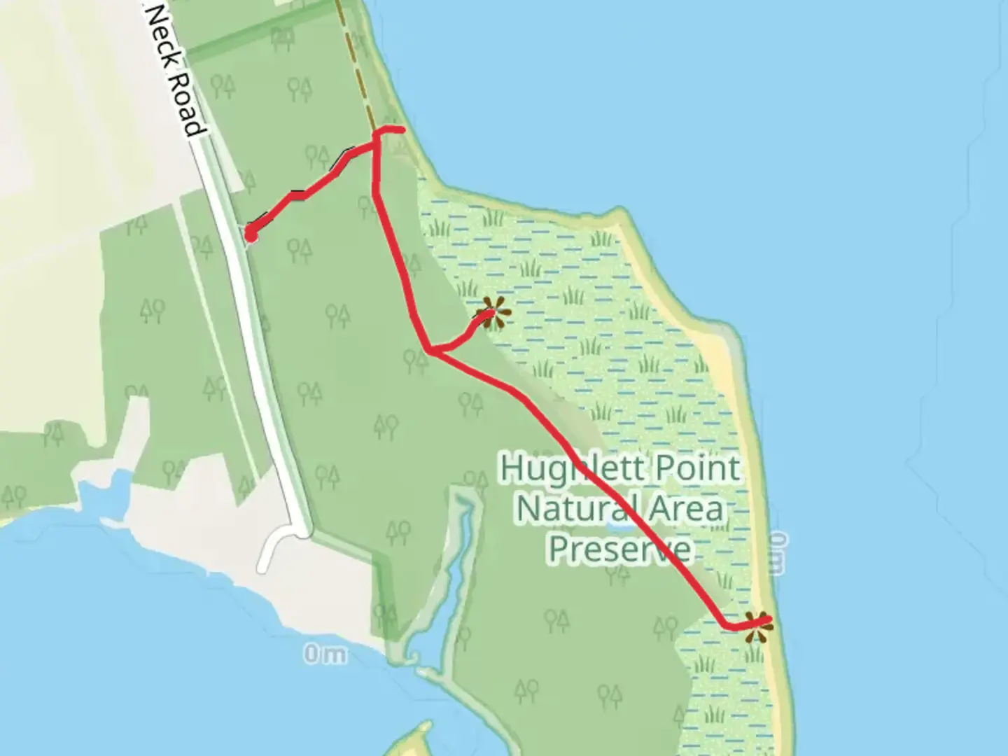 An image depicting the trail Access Road and Boardwalk Trail and its surrounding area.