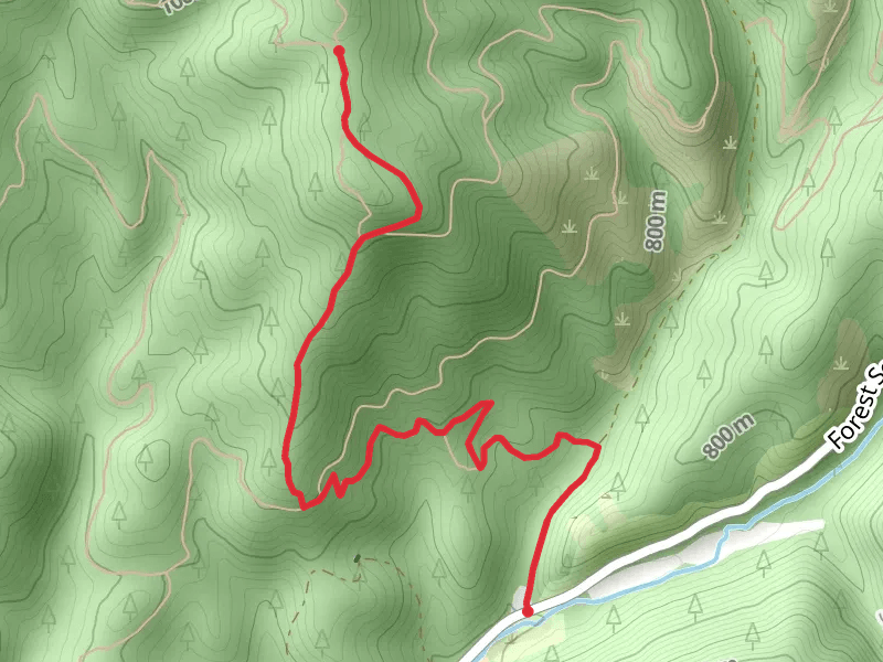 Trail 10 - Forest Service Road 268