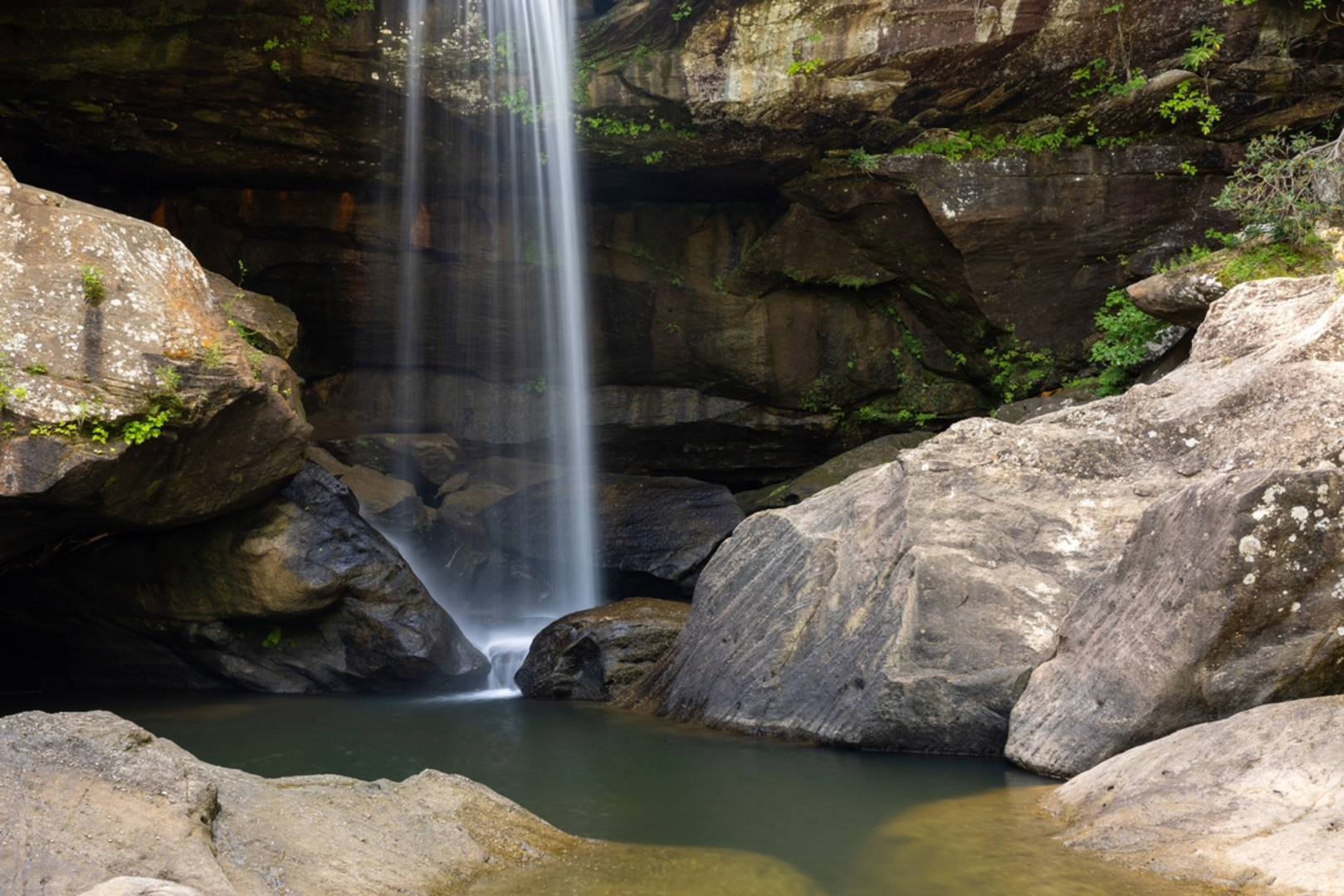 An image depicting the trail Eagle Creek Falls Loop and its surrounding area.
