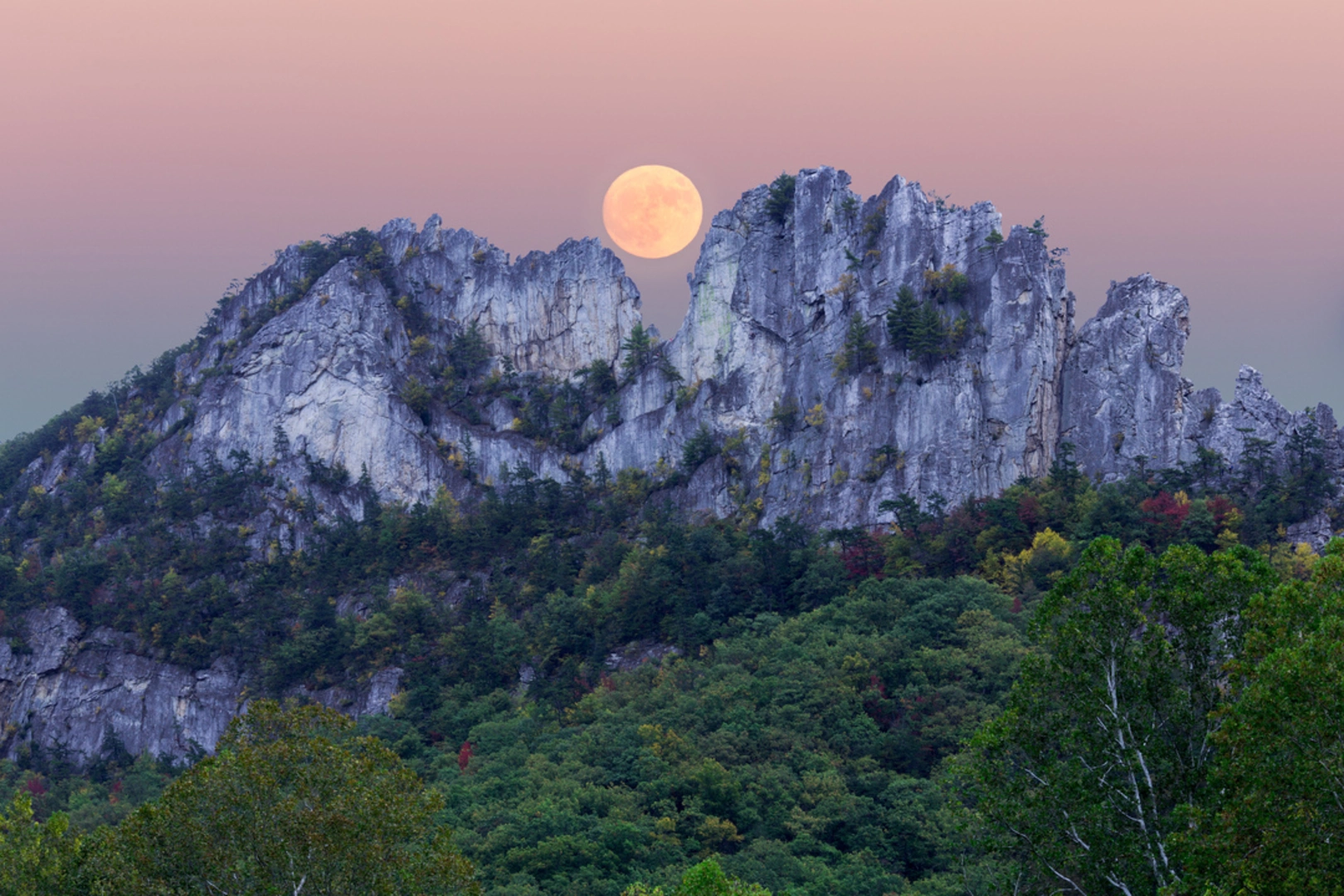 An image depicting the trail Seneca Rocks and its surrounding area.