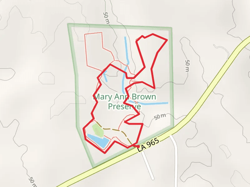 American Beech Loop and Main Trail