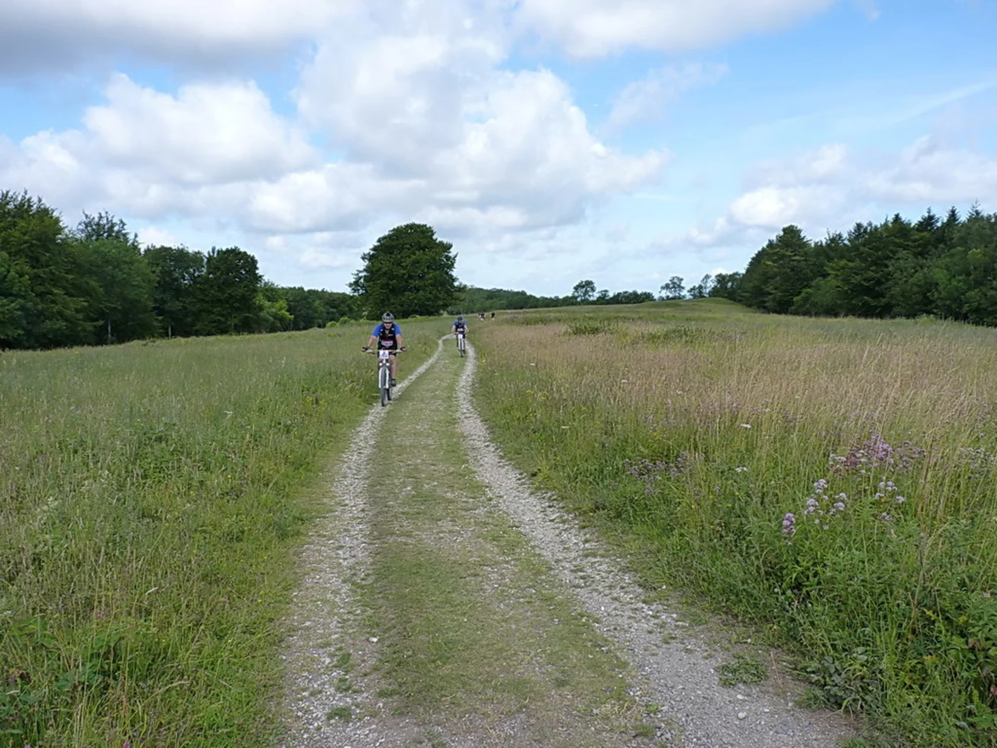 An image depicting the trail Cuckmere Haven Loop - Seven Sisters Country Park and its surrounding area.