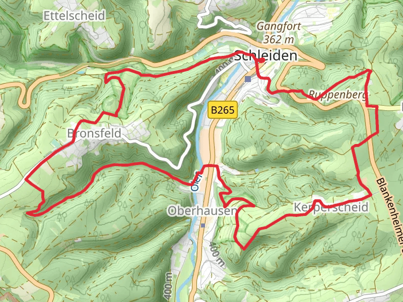 Schleiden and Wiesgen Loop
