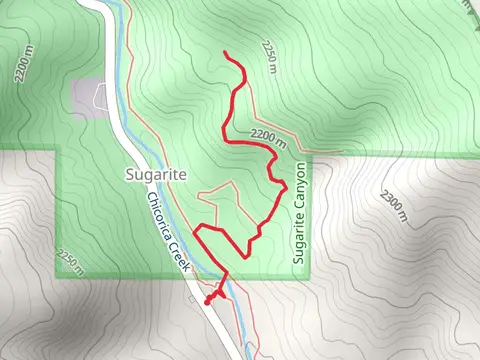 Chicorica Trail and Prospect Out and Back