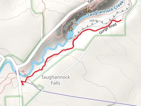 South Rim Trail