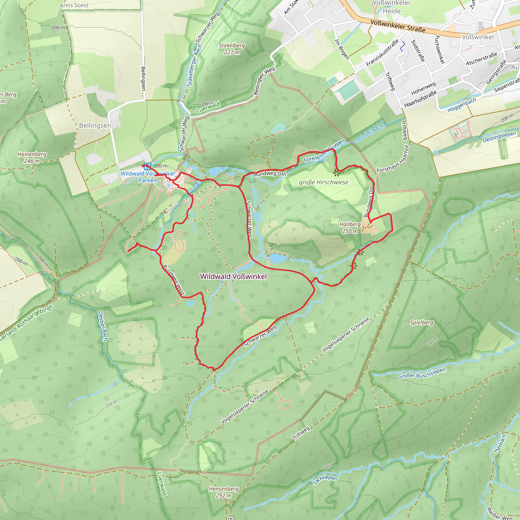 Rundweg West, Rundweg Ost and Schwarzer Weg | Hochsauerlandkreis | Ger