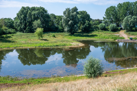Millingerwaard and Observatiepunt Loop