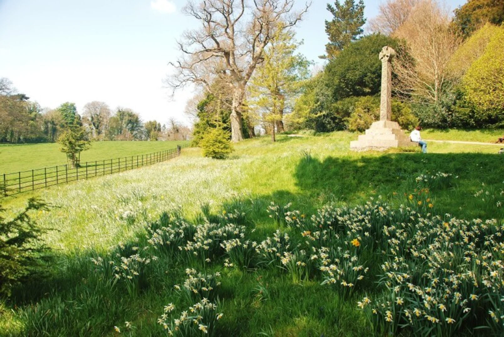 An image depicting the trail Killerton Park Walk and its surrounding area.