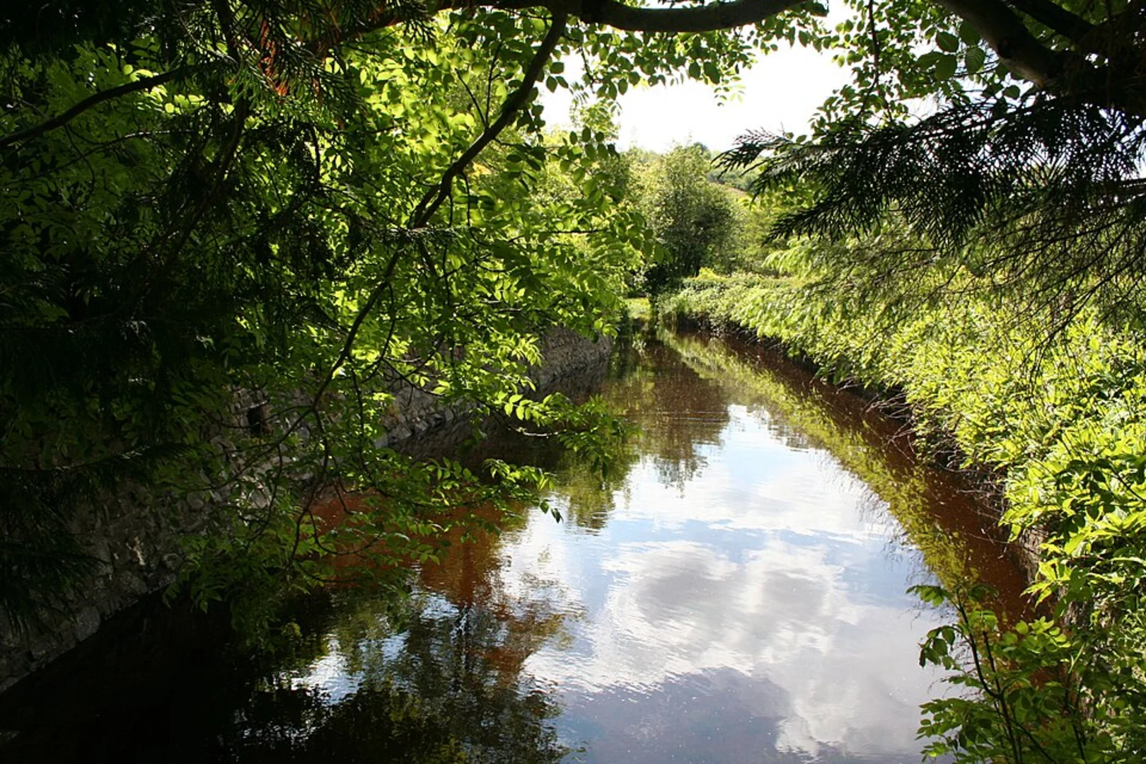 An image depicting the trail Mill Dam and Morley Plantation Loop and its surrounding area.