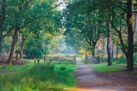 Somerensche Heide, Boksenberg and Keelven Loop