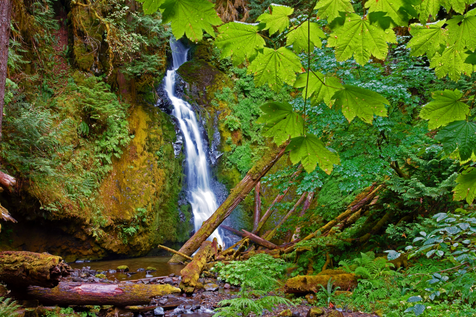 An image depicting the trail Hemlock Falls Trail and its surrounding area.