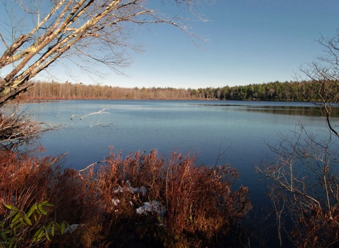 Lake Lacawac Trail Loop