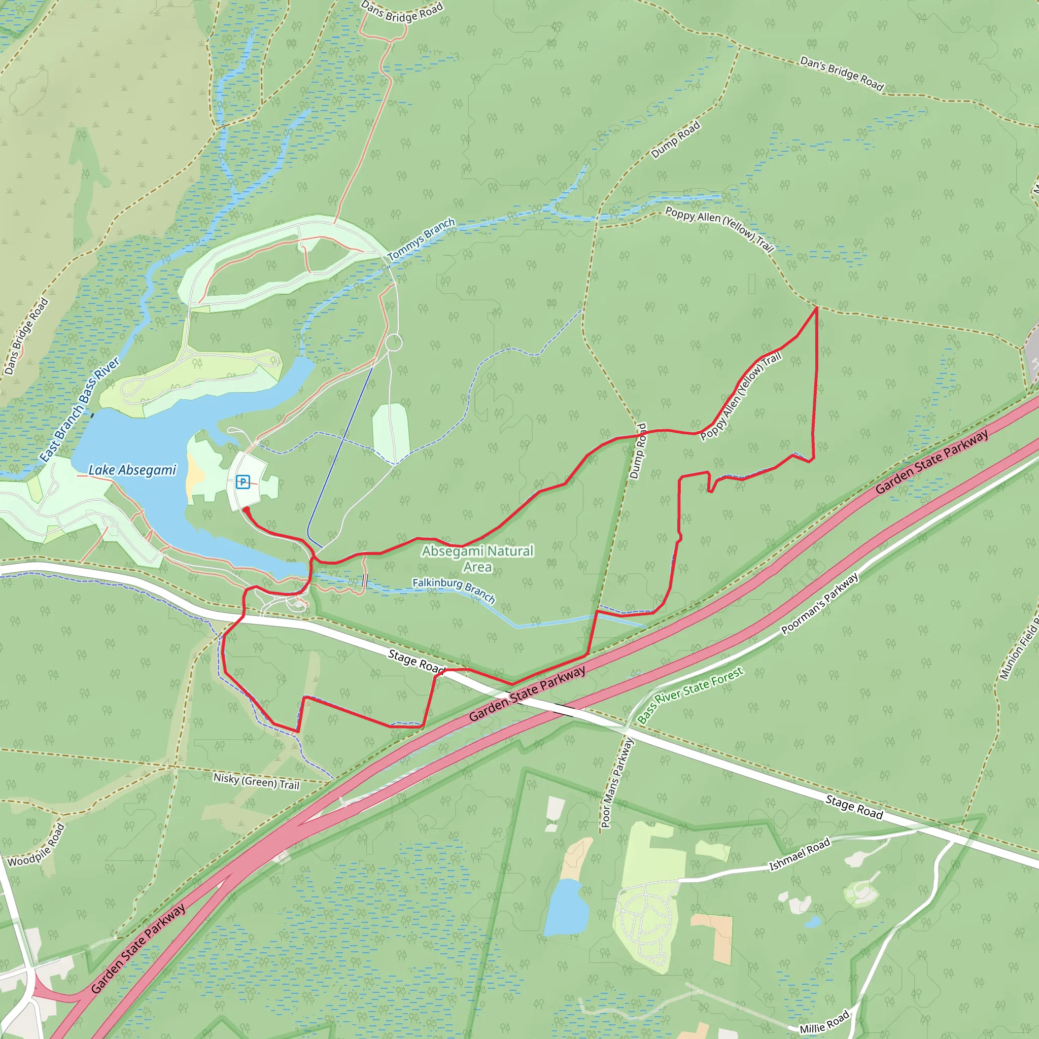 Falkinburg - Purple Trail and Poppy Allen - Yellow Trail Loop mobile static map