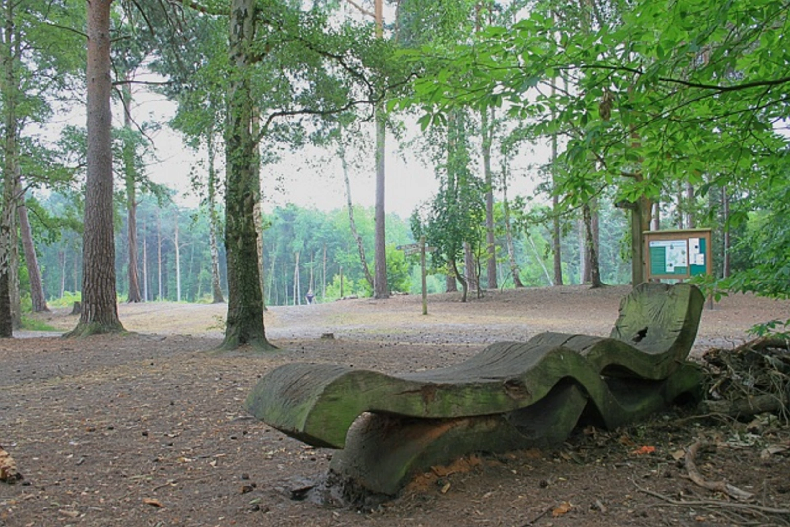 An image depicting the trail Esher Common, Black Pond and Oxshott Heath Loop and its surrounding area.