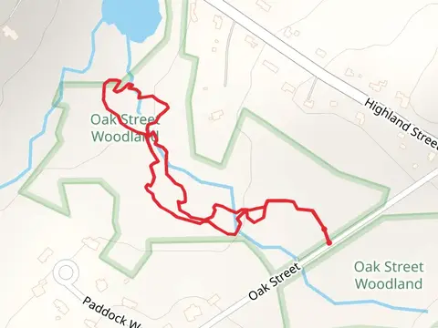 Cove Brook Loop