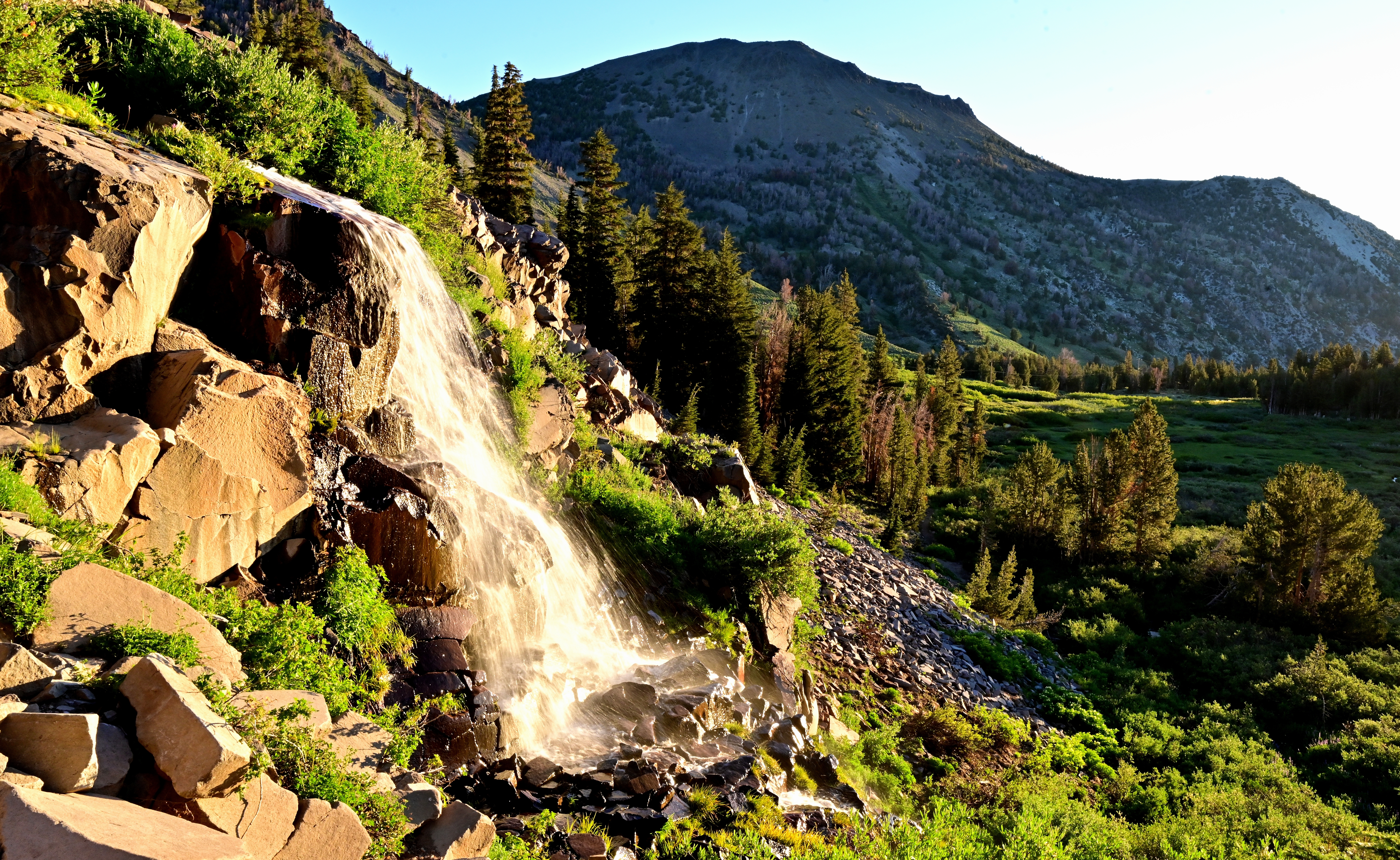 An image depicting the trail Humboldt-Toiyabe National Forest and its surrounding area.