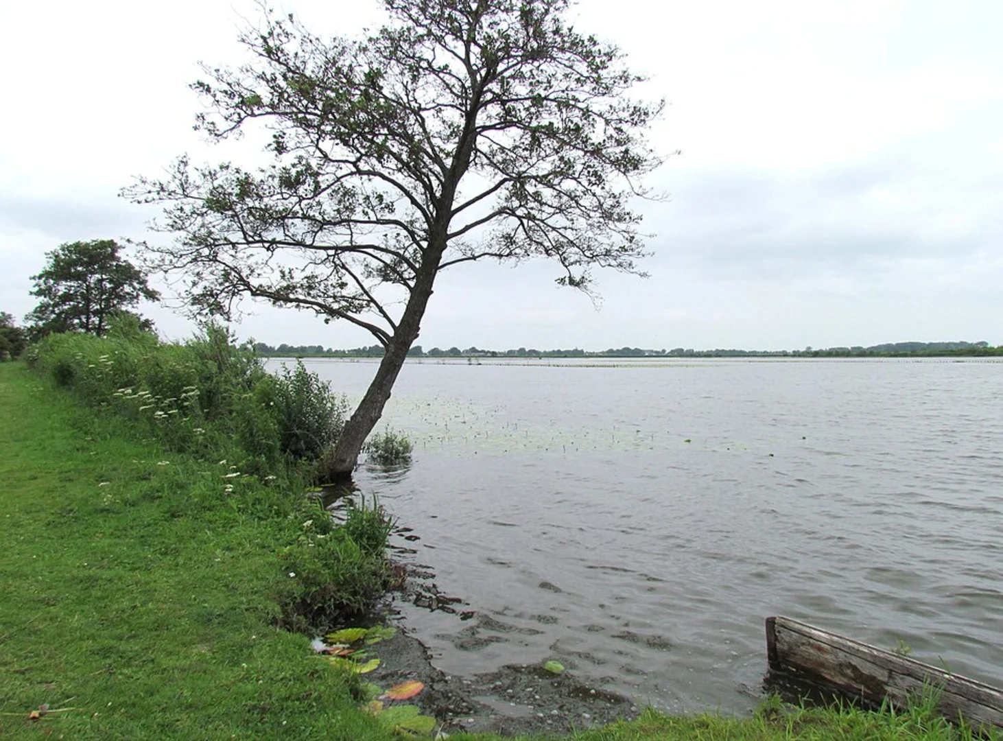 An image depicting the trail Ankeveense Plassen Loop via Dammerkade and its surrounding area.