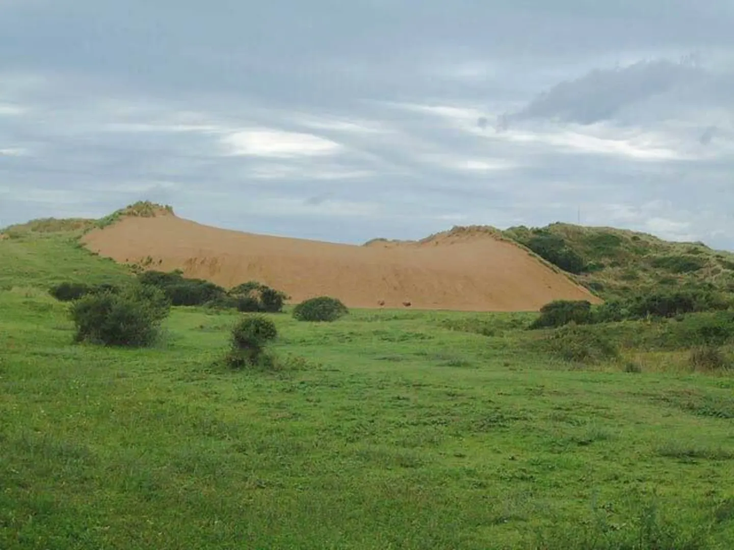 An image depicting the trail Braunton Burrows Loop and its surrounding area.