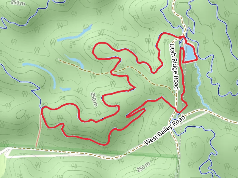 Holler Collar and Utah Ridge Pond Loop Trail