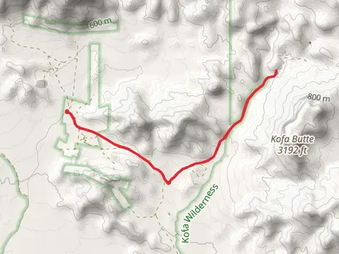 Yaqui Wash Walk