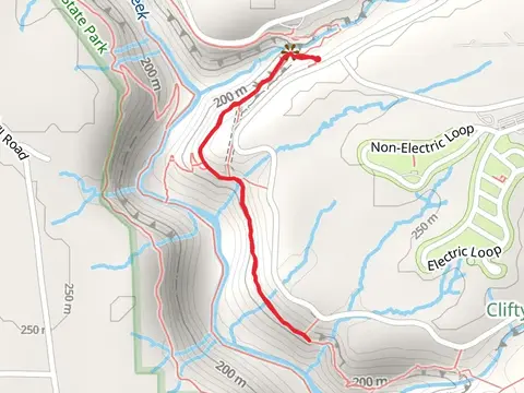Trail 5 Out and Back