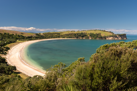 Shakespear Tiritiri Path