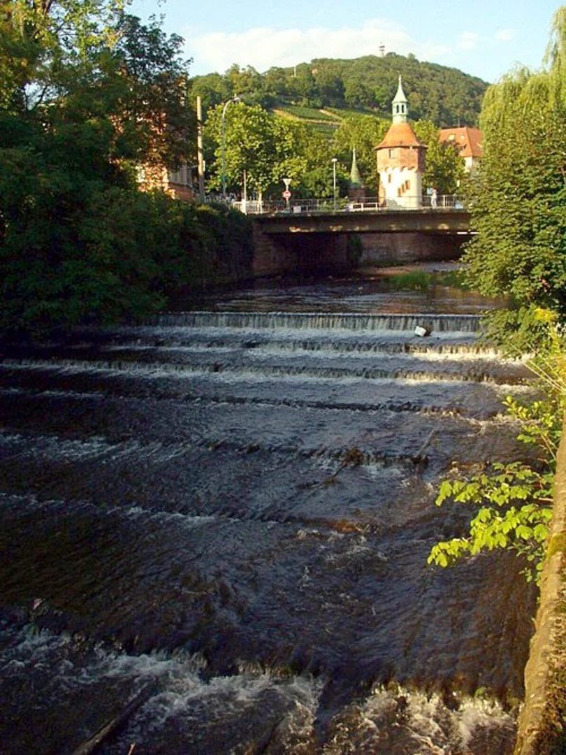 An image depicting the trail Dreisam via Fritz-Horch-Weg and its surrounding area.