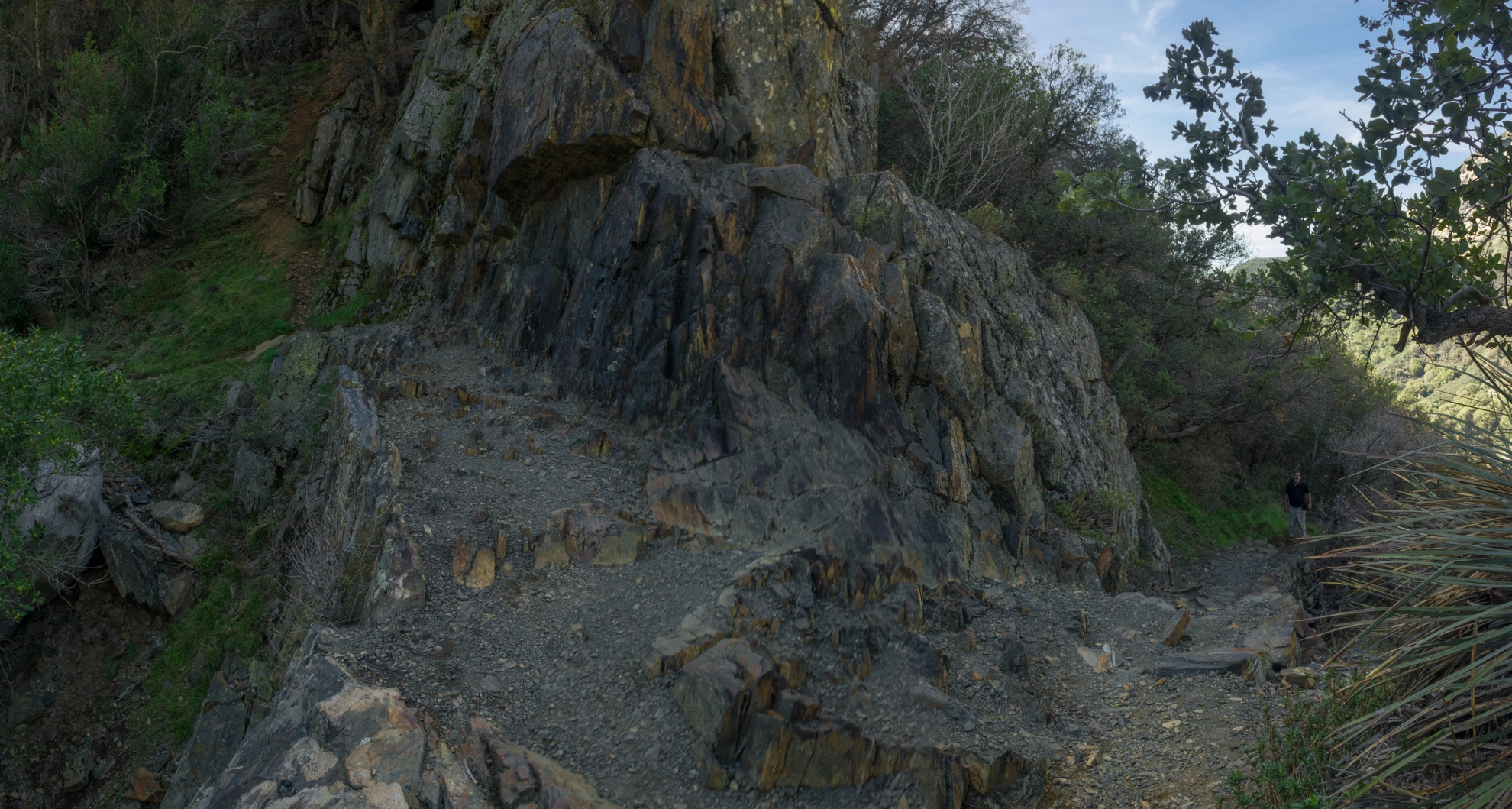 An image depicting the trail Colony Mill Trail and its surrounding area.