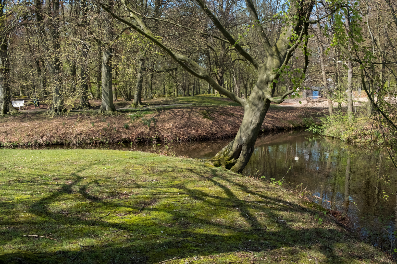 An image depicting the trail Koekamp, Oostduinen, Meijendel and Kasteel Oud Wassenaar Loop and its surrounding area.