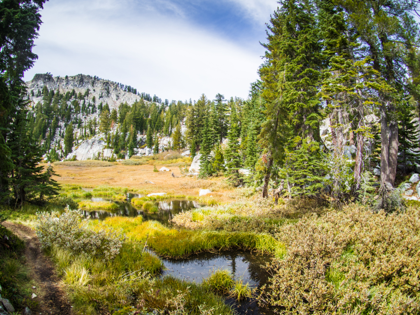 An image depicting the trail Five Lakes Creek via Five Lakes Trail and its surrounding area.